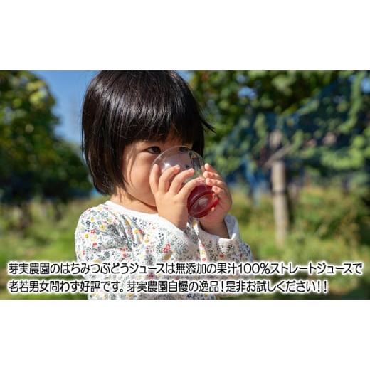 ふるさと納税 果汁飲料 ぶどう 青森県 鶴田町  No.5554-0215 芽実農園のぶどうジュース(はちみつぶどう100％) 720ml×6本 青森県鶴田町産はちみつぶどう使用の画像
