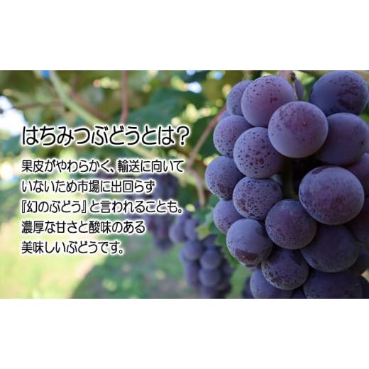 ふるさと納税 果汁飲料 ぶどう 青森県 鶴田町  No.5554-0215 芽実農園のぶどうジュース(はちみつぶどう100％) 720ml×6本 青森県鶴田町産はちみつぶどう使用の画像