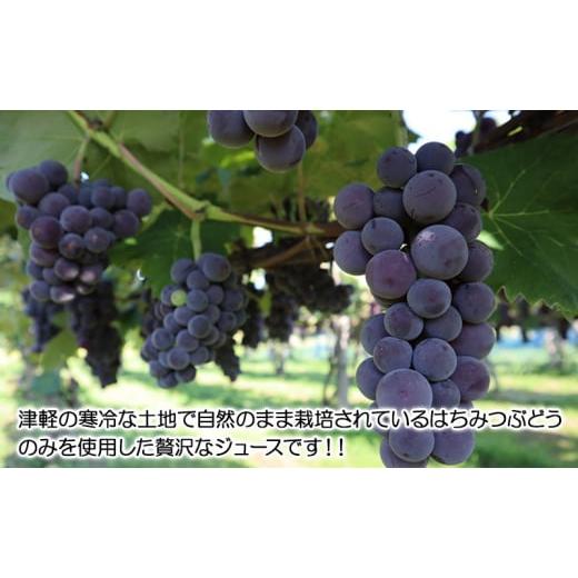 ふるさと納税 果汁飲料 ぶどう 青森県 鶴田町  No.5554-0215 芽実農園のぶどうジュース(はちみつぶどう100％) 720ml×6本 青森県鶴田町産はちみつぶどう使用の画像