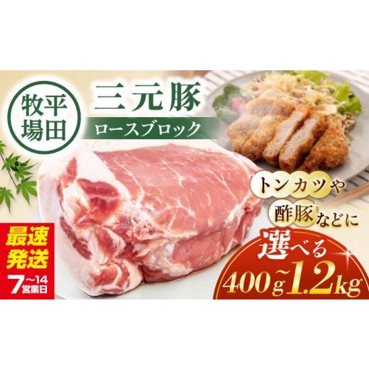 ふるさと納税 豚肉 ロース 北海道 喜茂別町 600g 平田牧場 ロースブロック 600g[喜茂別町] 平田牧場 角煮 豚角煮 豚の角煮 豚肉 豚肉ブロック 豚肉加工品 …