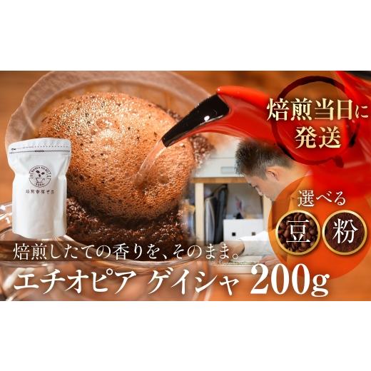 ふるさと納税 コーヒー コーヒー豆 岐阜県 大垣市 定期便12ヶ月 粉 ＼焙煎当日発送/ 超希少種 コーヒー豆『エチオピア ゲイシャ』ゲシャビレッジ 農園 チャ…