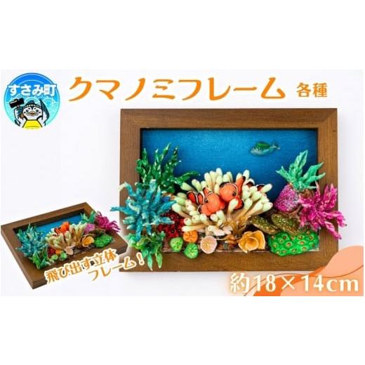 ふるさと納税 手芸 和歌山県 すさみ町 クマノミ各種　フレーム ／ 魚 さかな フィッシュ 釣り 海 うみ クマノミ 海水魚 海の生き物 鍵 かぎ 家 車 自転車 かわ…_1