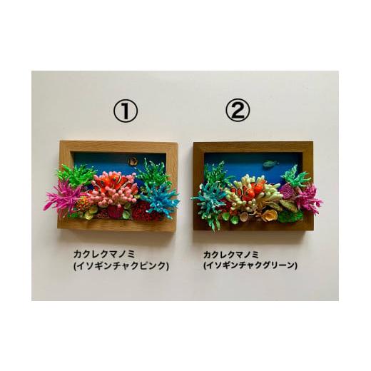 ふるさと納税 手芸 和歌山県 すさみ町 クマノミ各種　フレーム ／ 魚 さかな フィッシュ 釣り 海 うみ クマノミ 海水魚 海の生き物 鍵 かぎ 家 車 自転車 かわ…_2