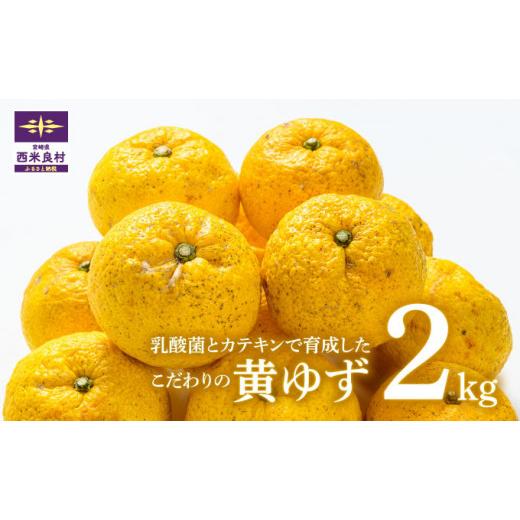 ふるさと納税 みかん・柑橘類 ゆず 宮崎県 西米良村 乳酸菌とカテキンで育成したこだわりの黄ゆず 2キロ 2026年11月下旬より順次発送 有機栽培 かんきつ …