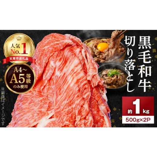 ふるさと納税 牛肉 焼肉・バーベキュー 熊本県 天草市 S001-001-02_ 2月発送 A4〜A5等級 黒毛和牛 切り落とし 1kg(500g×2P) 2026年2月より順次発送
