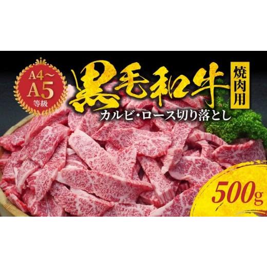 ふるさと納税 牛肉 焼肉・バーベキュー 熊本県 天草市 S001-026_ 3月発送 黒毛和牛 焼肉 カルビ ロース 切り落とし 500g A4 〜 A5 2026年3月中発送