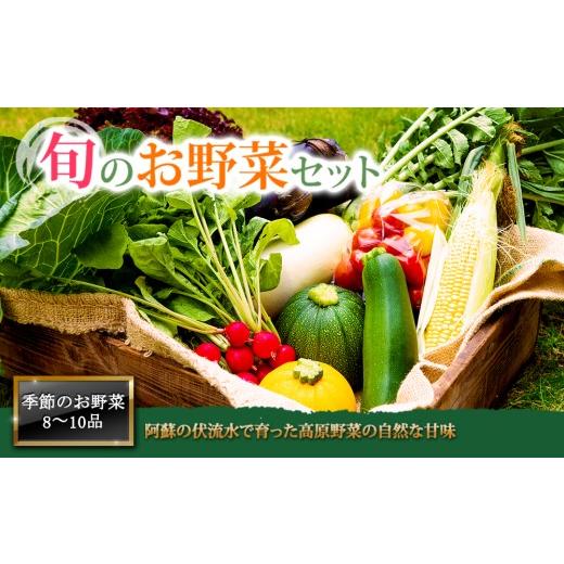 ふるさと納税 セット・詰合せ 熊本県 阿蘇市  畑から直送 季節のお野菜セットをお届け Lサイズ 旬のお野菜の中から8〜10品を厳選 野菜 新鮮 野菜セット 農家直…の画像