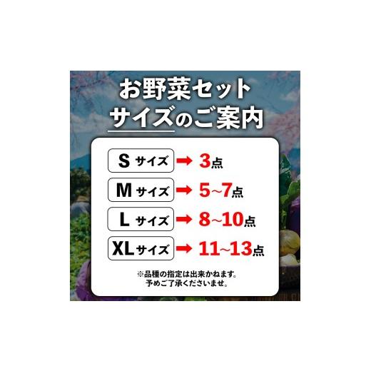ふるさと納税 セット・詰合せ 熊本県 阿蘇市  畑から直送 季節のお野菜セットをお届け Lサイズ 旬のお野菜の中から8〜10品を厳選 野菜 新鮮 野菜セット 農家直…の画像