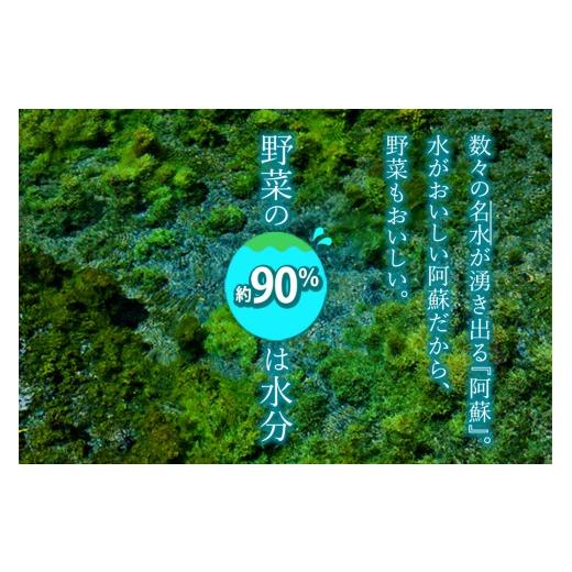 ふるさと納税 セット・詰合せ 熊本県 阿蘇市  畑から直送 季節のお野菜セットをお届け Lサイズ 旬のお野菜の中から8〜10品を厳選 野菜 新鮮 野菜セット 農家直…の画像