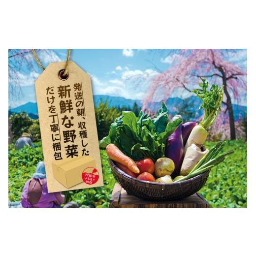 ふるさと納税 セット・詰合せ 熊本県 阿蘇市  畑から直送 季節のお野菜セットをお届け Lサイズ 旬のお野菜の中から8〜10品を厳選 野菜 新鮮 野菜セット 農家直…の画像