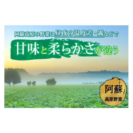 ふるさと納税 セット・詰合せ 熊本県 阿蘇市  畑から直送 季節のお野菜セットをお届け Lサイズ 旬のお野菜の中から8〜10品を厳選 野菜 新鮮 野菜セット 農家直…の画像