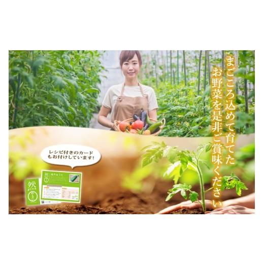 ふるさと納税 セット・詰合せ 熊本県 阿蘇市  畑から直送 季節のお野菜セットをお届け Lサイズ 旬のお野菜の中から8〜10品を厳選 野菜 新鮮 野菜セット 農家直…の画像