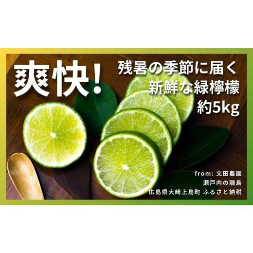 ふるさと納税 みかん・柑橘類 レモン 広島県 大崎上島町 ハウスグリーンレモン 約5kg 2026年9月以降発送 レモン 檸檬 れもん グリーン 瀬戸内 広島 大崎上島 …