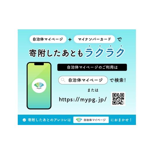 ふるさと納税 雑貨・日用品 神奈川県 厚木市 ミニッツAWD レディセット