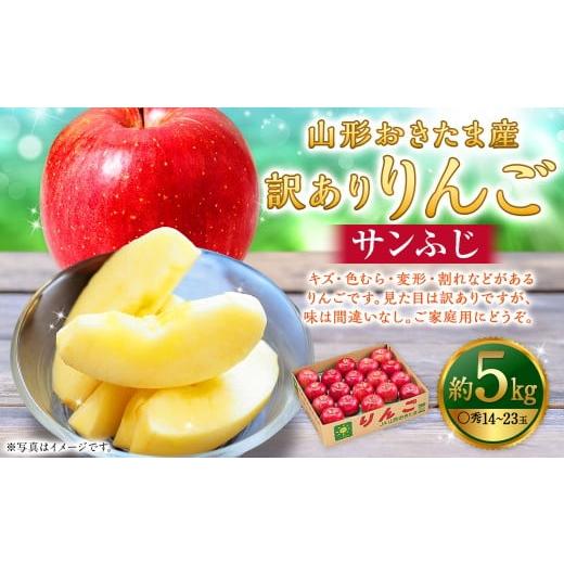 ふるさと納税 りんご 山形県 白鷹町 訳あり 山形おきたま産 りんご (サンふじ)(〇秀) 14玉〜23玉(約5kg) リンゴ 林檎 果物 2026年11月下旬〜12月上旬発…