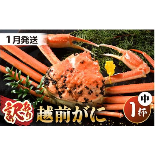 ふるさと納税 カニ ずわいガニ 福井県 坂井市 先行予約 訳あり 茹で「越前ズワイ蟹」 中 1杯 脚折れ 2026年1月発送分 わけあり ワケアリ カニ かに 蟹 越前ガ…