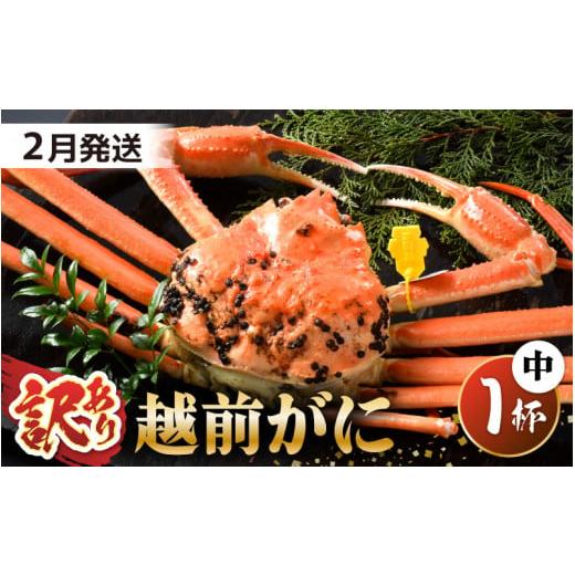 ふるさと納税 カニ ずわいガニ 福井県 坂井市 先行予約 訳あり 茹で「越前ズワイ蟹」 中 1杯 脚折れ 2026年2月発送分 わけあり ワケアリ カニ かに 蟹 越前ガ…