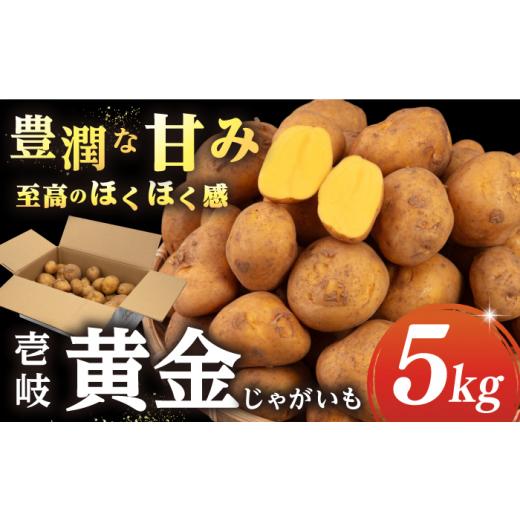 ふるさと納税 野菜類 じゃがいも 長崎県 壱岐市 先行予約 壱岐黄金