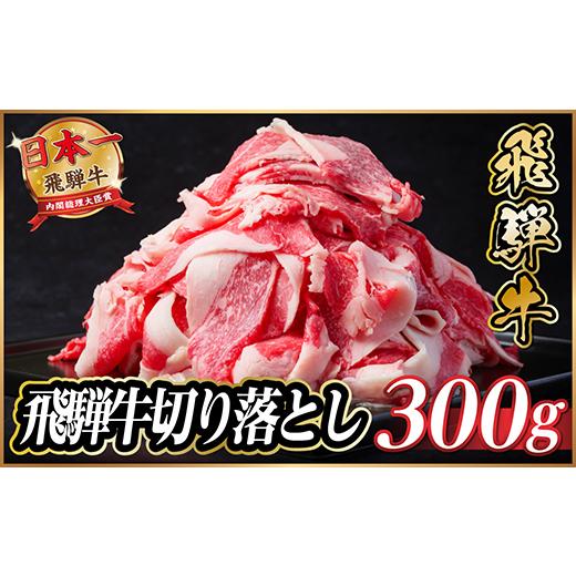ふるさと納税 牛肉 岐阜県 羽島市  訳あり 飛騨牛 切り落とし 約300g 1531495 |  | 01