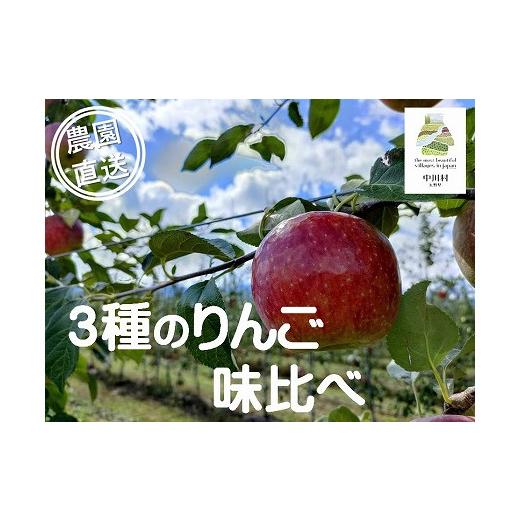 ふるさと納税 りんご 長野県 中川村 担当者おすすめ「味覚の里なかがわ」の旬のくだもの〜フルーツガーデン松村のりんご 味比べ3種セット 約3kg