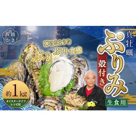 ふるさと納税 牡蠣 兵庫県 赤穂市 生食用 真牡蠣「ぷりみ」約1kg かき 牡蠣