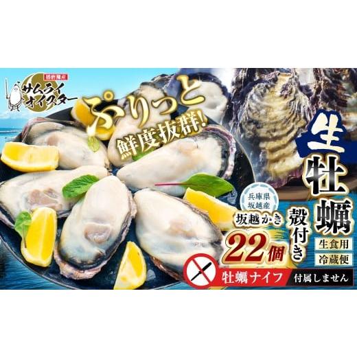 ふるさと納税 牡蠣 生牡蠣 兵庫県 赤穂市 坂越かき 殻付き 22個 ナイフなし 2026年1月上旬〜2026年5月下旬頃発送予定 / 牡蠣 かき カキ オイスター サムライ…