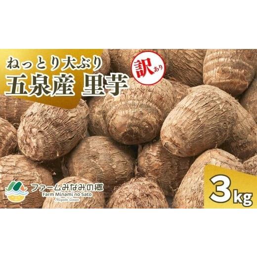 ふるさと納税 人参・大根・他根菜 新潟県 五泉市 令和7年産 訳あり 五泉産 大玉さといも(2L以上)3kg 新潟県 五泉市 ファームみなみの郷
