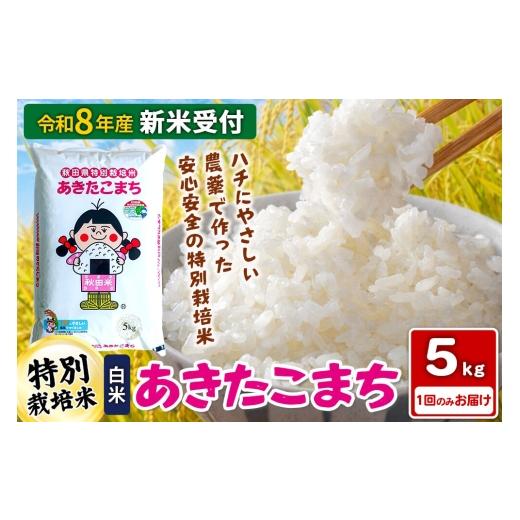 ふるさと納税 米 あきたこまち 秋田県 横手市 [令和8年産 新米受付] 白米 秋田県横手産特別栽培米あきたこまち 5kg(5kg×1袋) 新米 先行予約 秋田県産 あき…
