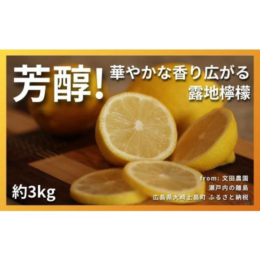 ふるさと納税 みかん・柑橘類 レモン 広島県 大崎上島町 芳醇 文田農園のレモン 約3kg 1~2月発送 瀬戸内 広島 大崎上島 離島 柑橘 檸檬 露地栽培 果物 フルー…