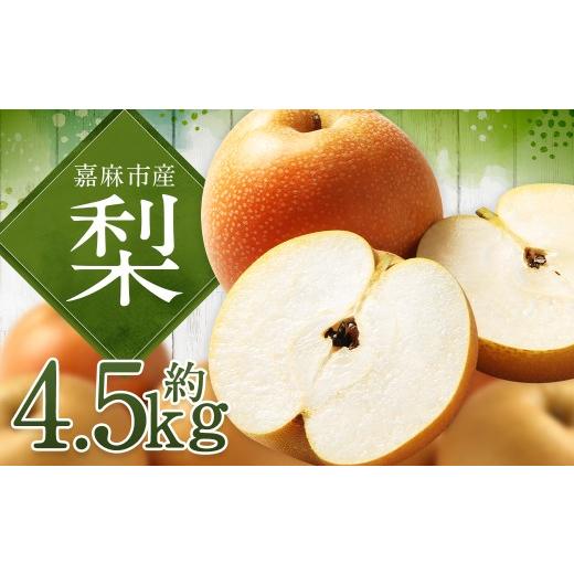 ふるさと納税 梨 福岡県 嘉麻市 梨 4.5kg ナシ なし 果物 くだもの フルーツ 九州産 福岡県 嘉麻市 2026年8月上旬〜2027年1月下旬発送予定