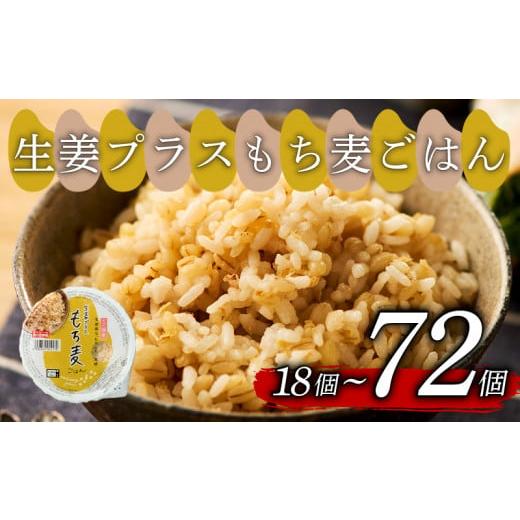 ふるさと納税 玄米 大阪府 松原市 生姜プラスもち麦 ごはんパック 160g 18個 生姜 もち麦 麦 米 ごはん ご飯 こめ パックライス パックご飯 パックごはん ご飯…