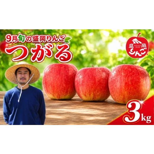 ふるさと納税 りんご 岩手県 盛岡市 先行予約 訳あり 9月旬の盛岡りんご つがる 3kg 残暑りんご 盛岡りんご りんご 果物 フルーツ 林檎 リンゴ 国産 産地直送 …
