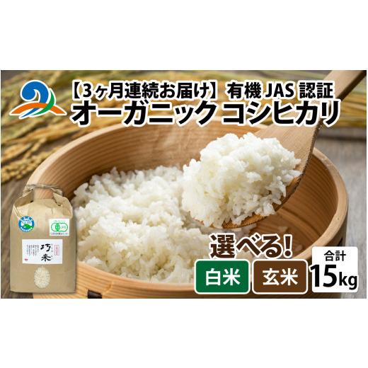 ふるさと納税 米 コシヒカリ 福井県 南越前町 3ヶ月連続お届け 令和7年産 有機JAS認証 オーガニックコシヒカリ 白米 5kg×1袋×3ヶ月(計15kg)| お米の定期…