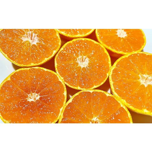 ふるさと納税 果汁飲料 みかん 愛媛県 - みかんジュースコンクール金賞 みかん坊やのもぎたてみかんジュース 6本 720ml みかん 温州みかん 蜜柑 かんきつ 柑橘…の画像