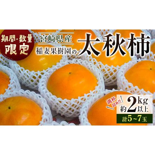 ふるさと納税 果物類 柿 宮崎県 新富町 期間・数量限定 稲妻果樹園の「太秋柿」 約2kg(5〜7玉)宮崎県新富町産 くだもの デザート
