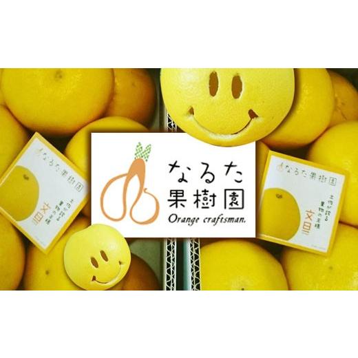 ふるさと納税 みかん・柑橘類 高知県 宿毛市 贈答用 土佐文旦 約5kg (L〜4L約8〜13個) 成田果樹園 贈答用 5kg 15,000円