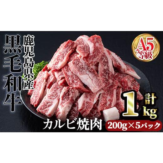 ふるさと納税 牛肉 鹿児島県 曽於市 1回 200g×5パック A5等級鹿児島県産黒毛和牛カルビ焼肉(計1kg・200g×5パック×1回) カルビ 焼肉 黒毛和牛 カミチク A49…