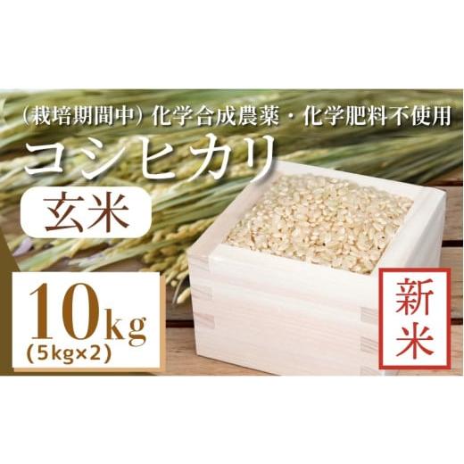 ふるさと納税 玄米 徳島県 小松島市 令和7年産新米先行予約 玄米 10kg コシヒカリ 新米 令和7年産 米 こめ ご飯 ごはん おにぎり 卵かけご飯 白米 栽培期間中…