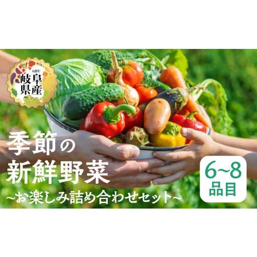 ふるさと納税 セット・詰合せ 岐阜県 本巣市 季節の野菜セットA 6〜8品目 品目おまかせ BBQ 春 夏 秋 冬 野菜 料理 自宅用 岐阜県産 本巣市 新鮮 やさい 数量…の画像