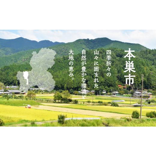 ふるさと納税 セット・詰合せ 岐阜県 本巣市 季節の野菜セットA 6〜8品目 品目おまかせ BBQ 春 夏 秋 冬 野菜 料理 自宅用 岐阜県産 本巣市 新鮮 やさい 数量…の画像
