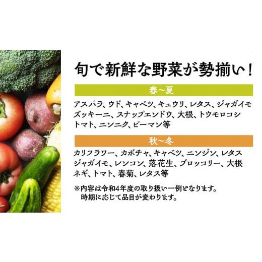 ふるさと納税 セット・詰合せ 岐阜県 本巣市 季節の野菜セットA 6〜8品目 品目おまかせ BBQ 春 夏 秋 冬 野菜 料理 自宅用 岐阜県産 本巣市 新鮮 やさい 数量…の画像