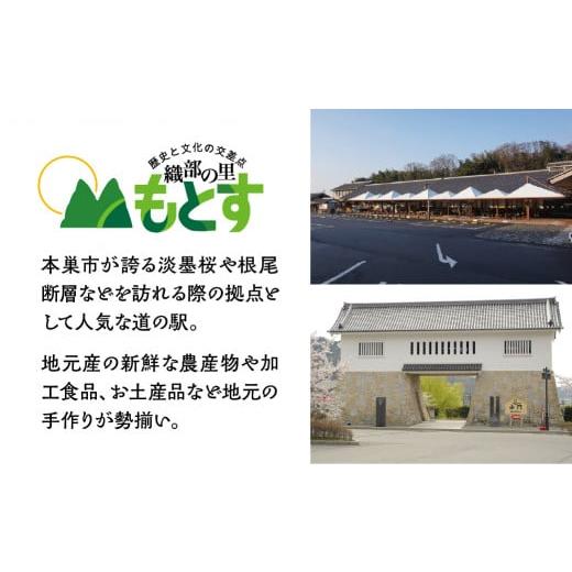 ふるさと納税 セット・詰合せ 岐阜県 本巣市 季節の野菜セットA 6〜8品目 品目おまかせ BBQ 春 夏 秋 冬 野菜 料理 自宅用 岐阜県産 本巣市 新鮮 やさい 数量…の画像