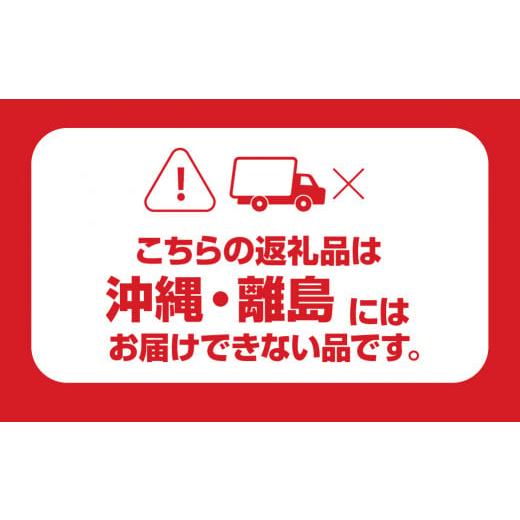 ふるさと納税 セット・詰合せ 岐阜県 本巣市 季節の野菜セットA 6〜8品目 品目おまかせ BBQ 春 夏 秋 冬 野菜 料理 自宅用 岐阜県産 本巣市 新鮮 やさい 数量…の画像