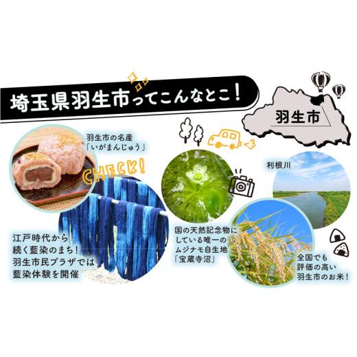 ふるさと納税 豚肉 ロース 埼玉県 羽生市 ロース ステーキ 1.2kg ( 100g &times; 3枚) &times;4P 国産 三元豚 冷凍 真空 小分け 個包装 たっぷり 大容量 大きめ 厚切り &hellip;