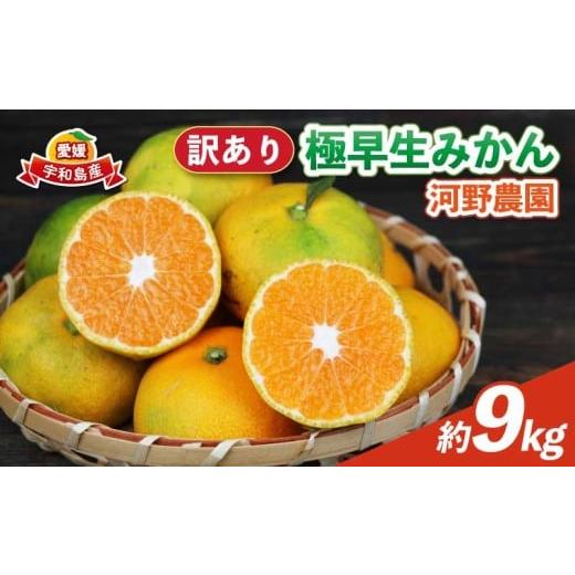 ふるさと納税 みかん・柑橘類 愛媛県 宇和島市 訳あり 極早生みかん 9kg 河野農園 先行予約 極早生 みかん 温州みかん 温州 蜜柑 mikan さっぱり 爽やか 爽や…
