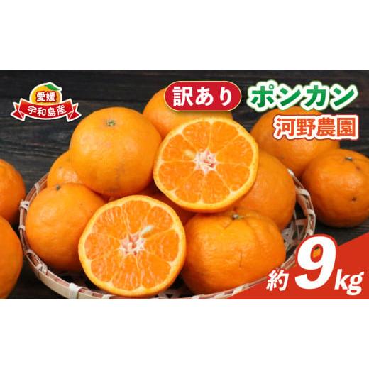 ふるさと納税 みかん・柑橘類 愛媛県 宇和島市 訳あり ポンカン 9kg 河野農園 わけあり みかん 蜜柑 mikan 愛媛みかん 愛媛ミカン 愛媛蜜柑 宇和島みかん ぽん…
