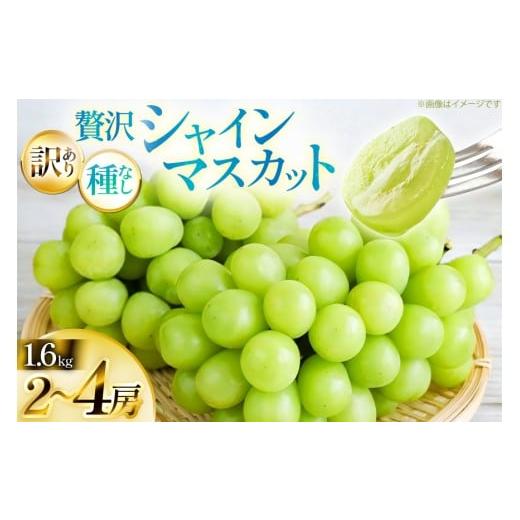 ふるさと納税 ぶどう マスカット 山形県 高畠町  期間限定発送 シャインマスカット 訳あり 贅沢ボリューム セット 2〜4房 1.6kg Yamagenフルーツガーデンレコ… |  | 01