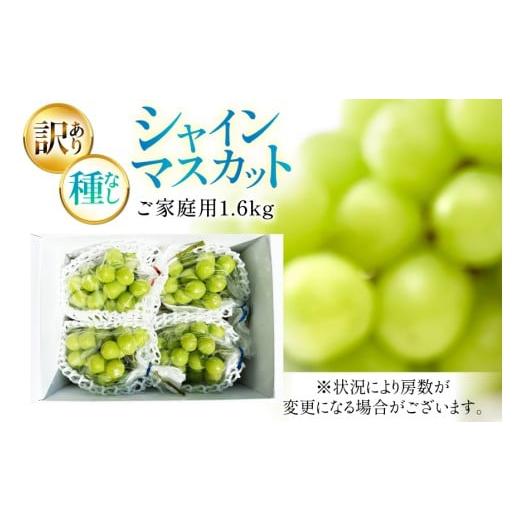ふるさと納税 ぶどう マスカット 山形県 高畠町  期間限定発送 シャインマスカット 訳あり 贅沢ボリューム セット 2〜4房 1.6kg Yamagenフルーツガーデンレコ… |  | 05