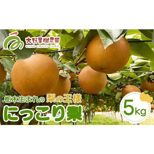 ふるさと納税 梨 栃木県 那須烏山市 16-2 栃木県那須烏山市産大野果樹農園のにっこり梨 | 先行予約 なし 梨 にっこり 果物 くだもの フルーツ ナシ 栃木県 202…