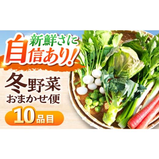 ふるさと納税 セット・詰合せ 愛媛県 大洲市 野菜セット 11月中旬から順次発送 冬野菜セット おまかせ10種 ふるさと納税 旬 詰め合わせ 10品目 10種類 採れた…